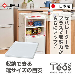 【日本JEJ ASTAGE】Teos日式極簡風組合收納櫃-分隔板
