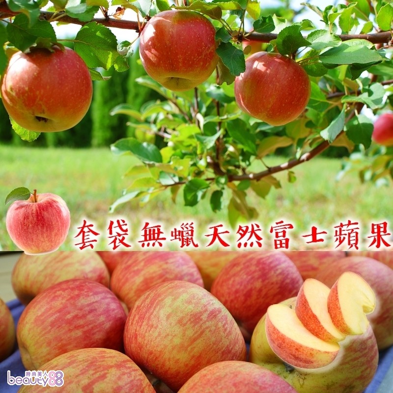 【彩水果】智利套袋無蠟甜蜜富士蘋果 [229134]