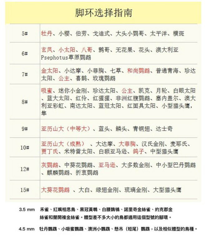 超細款放飛繩 鸚鵡外出放飛繩 鸚鵡腳鏈 放飛繩 內置鋼絲失手繩 鸚鵡放飛繩 內置鋼絲不易斷裂放飛繩 鸚鵡訓飛繩【現貨】 6