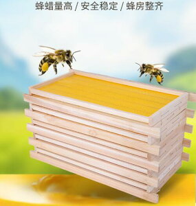 成品巢框帶框巢礎蜂巢八千中蜂意蜂杉木巢基蜜蜂巢脾巢皮蜂箱養蜂【青木鋪子】