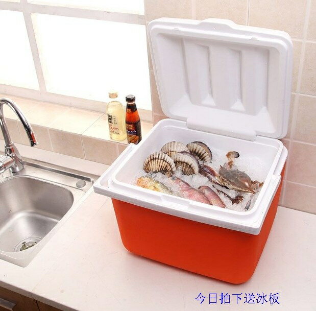 冷飲冰箱冷藏手提迷你桶外保溫箱戶外移動家用小號便攜式塑膠車載
