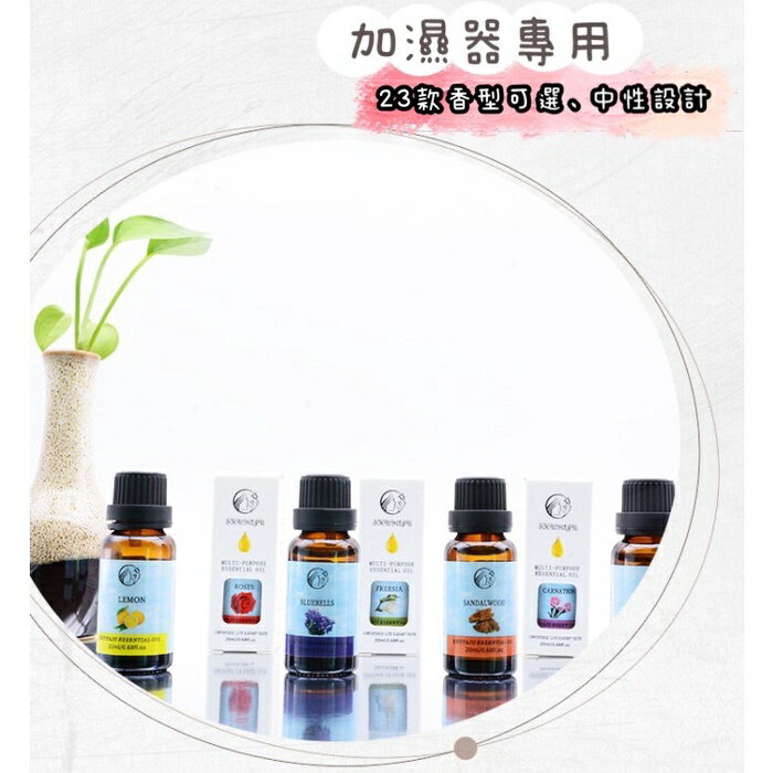 【漫格子】水溶性香薰精油20ml 水氧機精油 香薰機精油 香氛精油 擴香精油 2