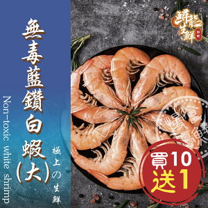 【慢食優鮮】無毒藍鑽白蝦 (250g/冷凍) 免運 買10送1 -60℃急速冷凍 無抗生素 無化學添加物