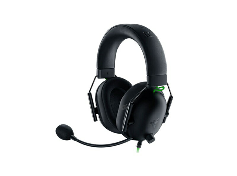 【享最高折300】Razer 雷蛇 黑鯊 BlackShark V2X 電競耳機麥克風/RZ04-03240100-R3M1