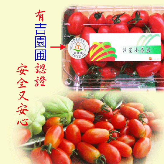 仲菁 嘉義太保-溫室牛奶小番茄 600g/盒 - 仲菁農產宅配 | Rakuten樂天市場