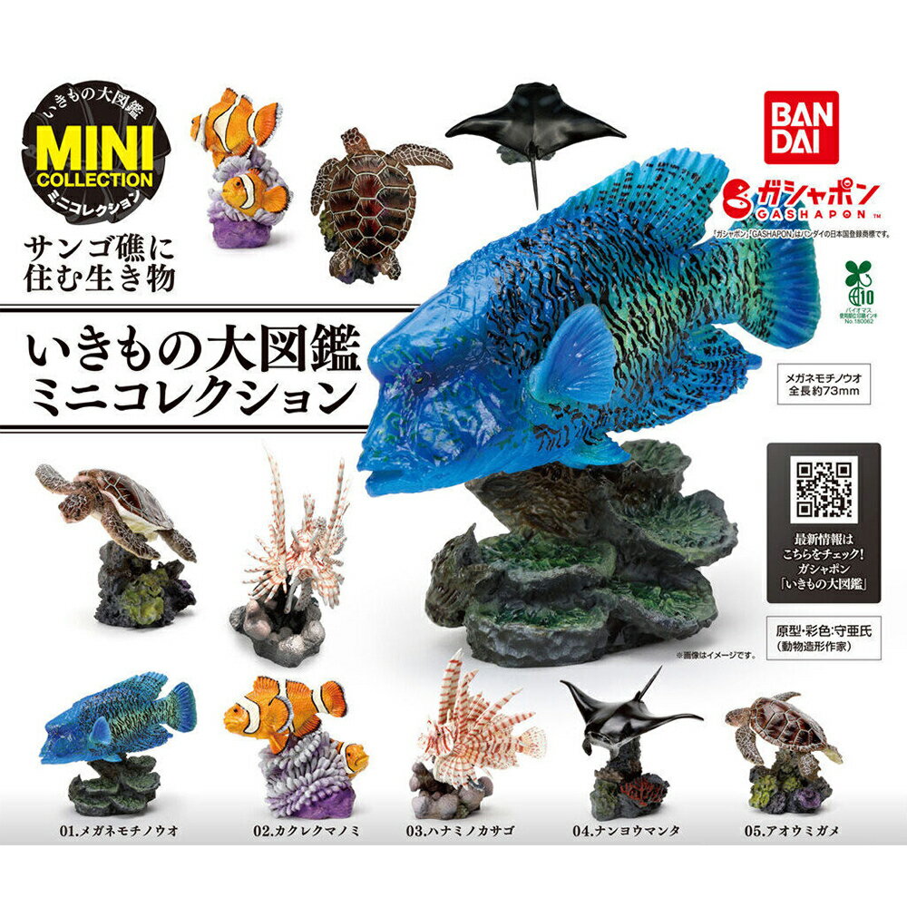 【日本正版】全套5款 生物大圖鑑 珊瑚礁生物 扭蛋 轉蛋 曲紋唇魚 小丑魚 魔鬼蓑鮋 珊瑚礁鬼蝠魟 綠蠵龜 動物模型 BANDAI 萬代 - 888656
