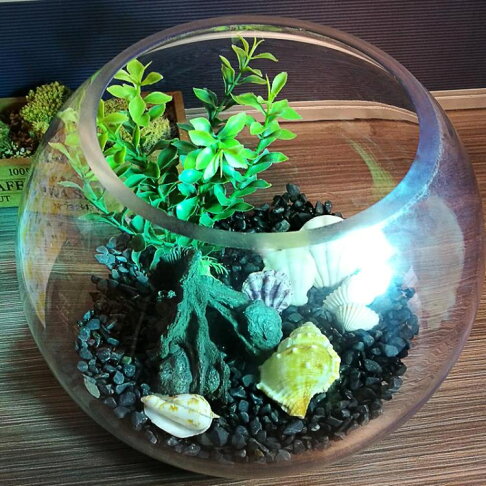 烏龜缸 魚缸生態圓形玻璃金魚缸烏龜缸桌面小型造景水培花瓶圓型小魚缸 3