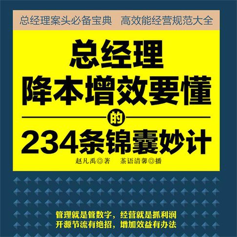 【有聲書】总经理降本增效要懂的234条锦囊妙计 0