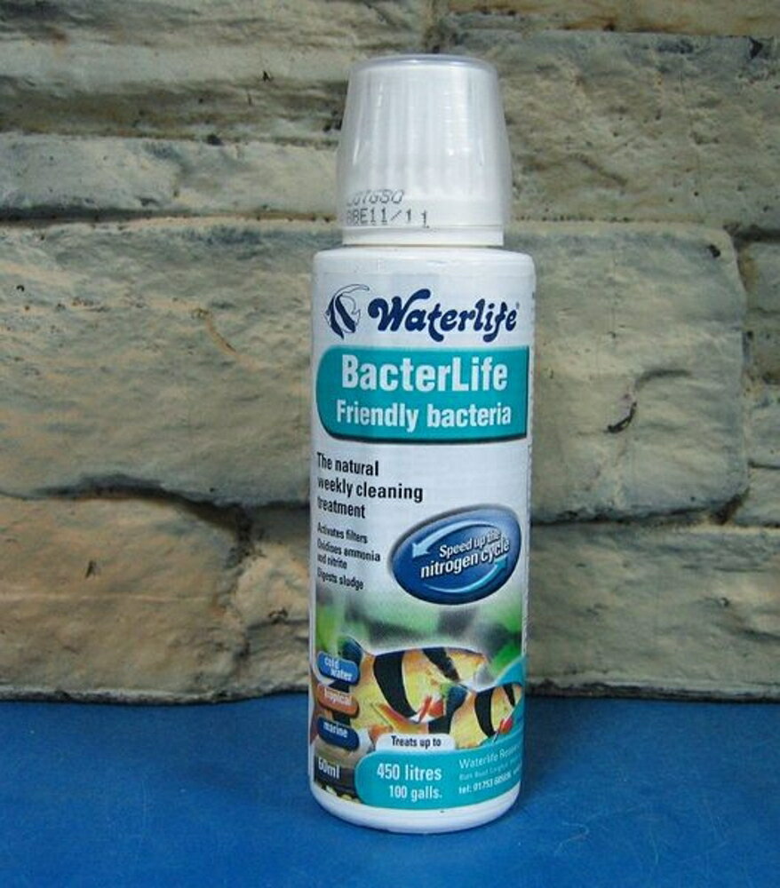 【西高地水族坊】英國Waterlife 長效天然活菌BacterLife 60ml(可對450L)