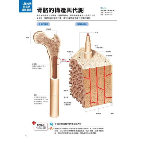 人體結構與疾病透視聖經:看不到的身體構造與疾病,3D立體完整呈現,比X光片真實(附日本授權3D立體動畫) 5