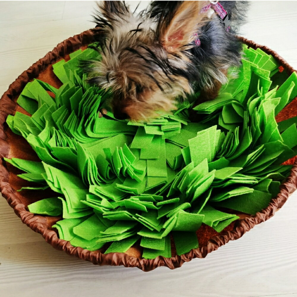美麗大街 【109112007】寵物益智寵物玩具 狗狗玩具 犬用玩具 聞嗅墊 嗅聞墊 覓食墊覓食碗 7