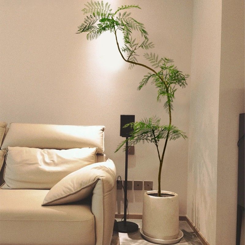 免運可開票 藍花楹模擬綠植高階輕奢室內客廳裝飾擺件仿生植物大型落地式盆栽【ppd6002】