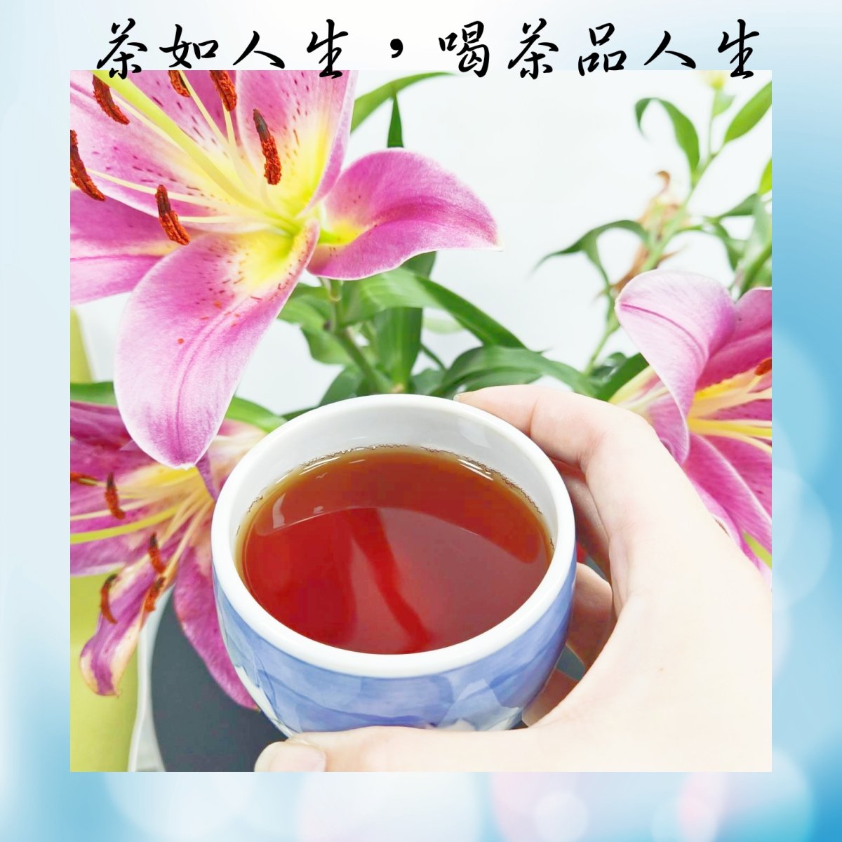 現貨】台灣茶葉阿里山紅茶上等阿里山紅茶75G+鐵罐943-326 手採茶