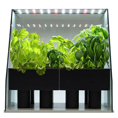 日本ASPLITY Piccola 家用 水耕栽培機 水耕機 種菜機 LED 蔬菜 栽培 開心農場 親子同樂 室內盆栽 療癒小物 禮物 日本必買代購