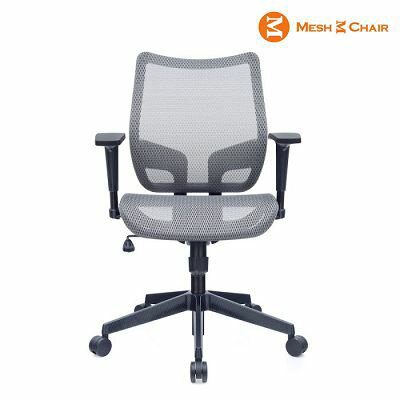 特價5300 恰恰-網椅 電腦椅 人體工學椅 辦公椅  (冰礦銀)