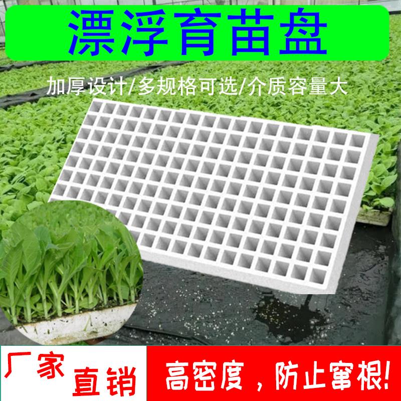 【公司貨 最低價】泡沫漂浮種子育苗盤加厚果蔬辣椒西瓜玉米草莓專用育苗盤批發