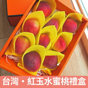【仙菓園】台灣 4A紅玉水蜜桃 九入禮盒裝 (單顆約150g±10%)