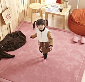 新款加厚 2.5cm 日本130*190 CM 纖細超厚珊瑚絨地毯 地墊 爬行墊 遊戲墊 加厚地毯