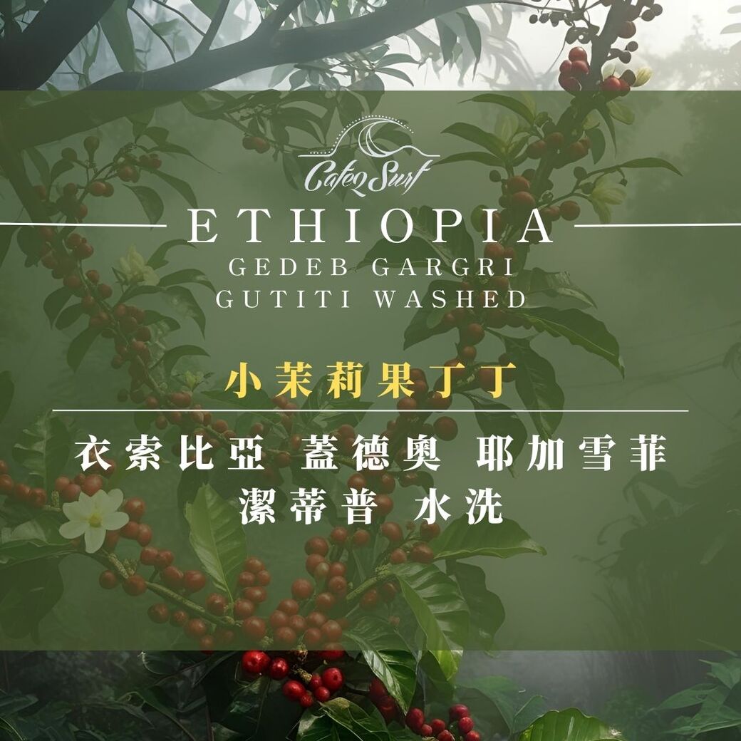 小茉莉果丁丁 衣索比亞 耶加雪菲 潔蒂普 水洗 ﹙半磅裝﹚︱淺烘焙