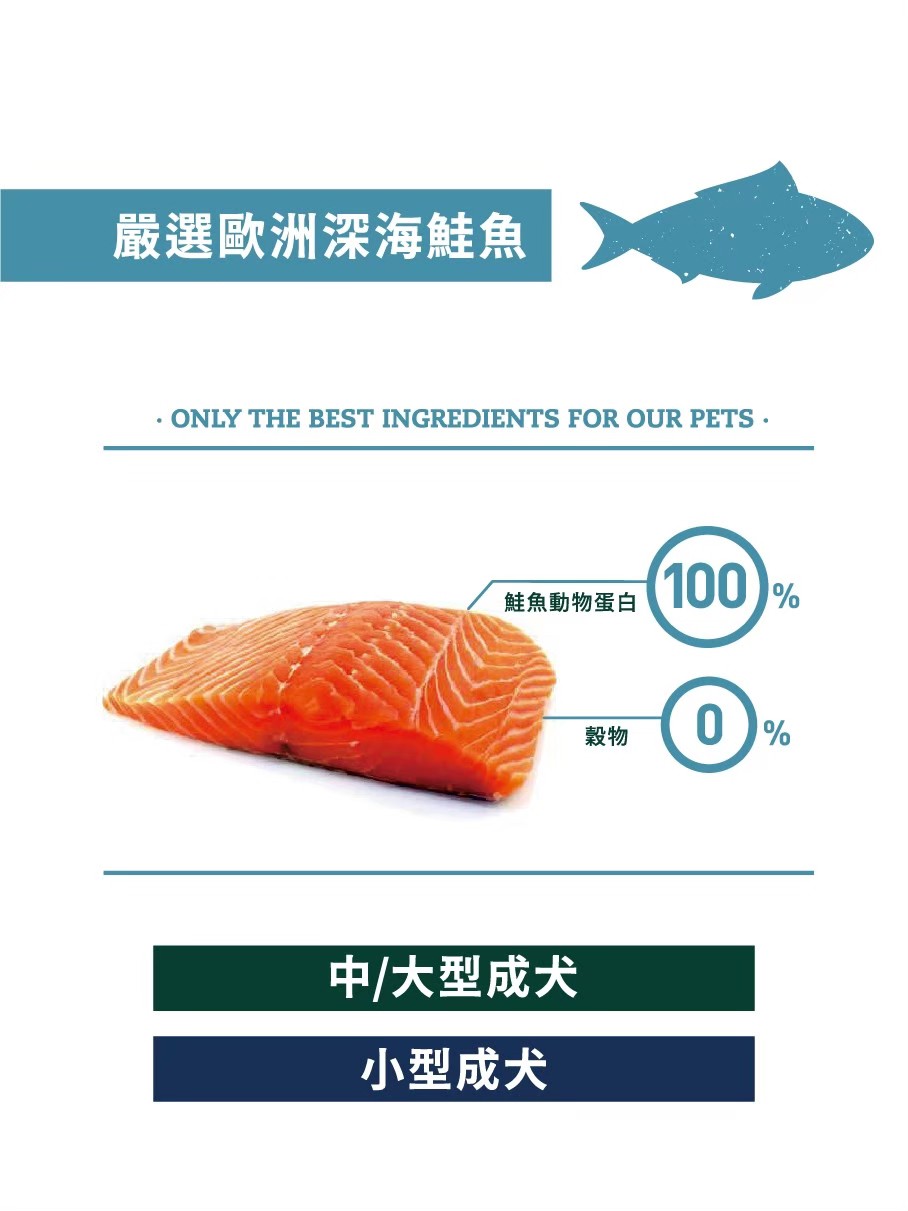 💥贈寵物抗菌溼巾💥BRAVERY 焙菲力【無穀健康犬糧】西班牙頂級健康糧  純天然成份 單一動物蛋白質來源 1