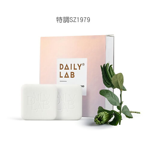 Daily Lab 流光玻璃系列車載香氛膠囊替換裝(2片裝)【APP享6%回饋】 3