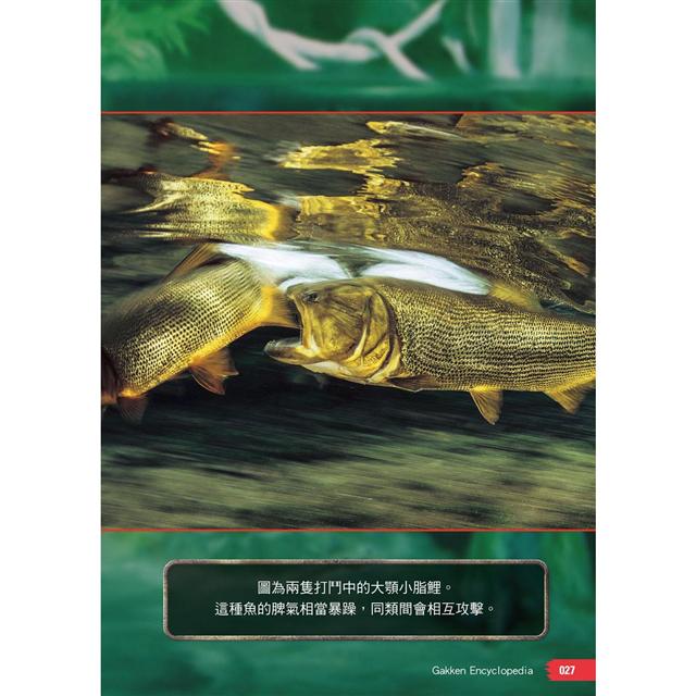 怪魚珍魚大百科 樂天書城直營店 樂天市場rakuten