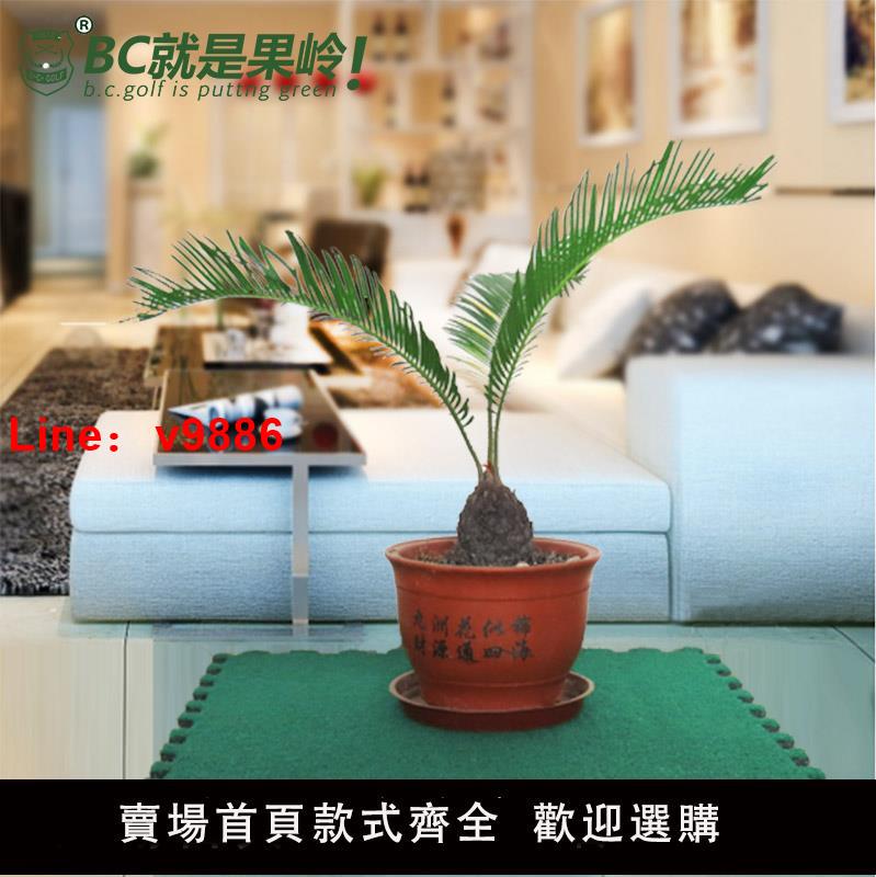 【臺灣公司 可開發票】B.C.GOLF高爾夫果嶺草皮室內外裝飾拼接墊人造模擬綠色草坪地毯戶