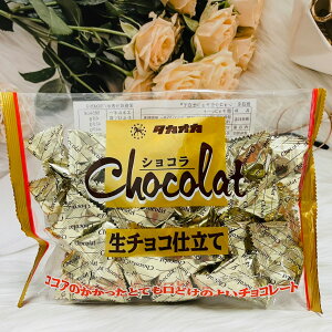 日本 TAKAOKA 高崗食品 生可可巧克力 172g 生巧克力 可可巧克力 個別包裝｜全店$199免運
