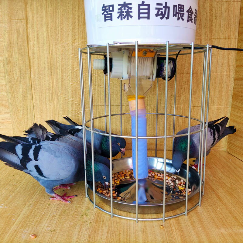 鴿子用品用具自動喂食器信鴿食槽自助定時定點養雞喂鴿喂雞的神器