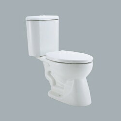 HCG香格里拉兩件式二段省水馬桶白40cm/CS140EJMU