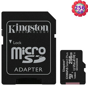 KINGSTON 256GB 256G microSDXC【100MB/s-Plus】microSD SDXC micro SD UHS U1 TF C10 Class10 SDCS2/256GB 金士頓 手機記憶卡