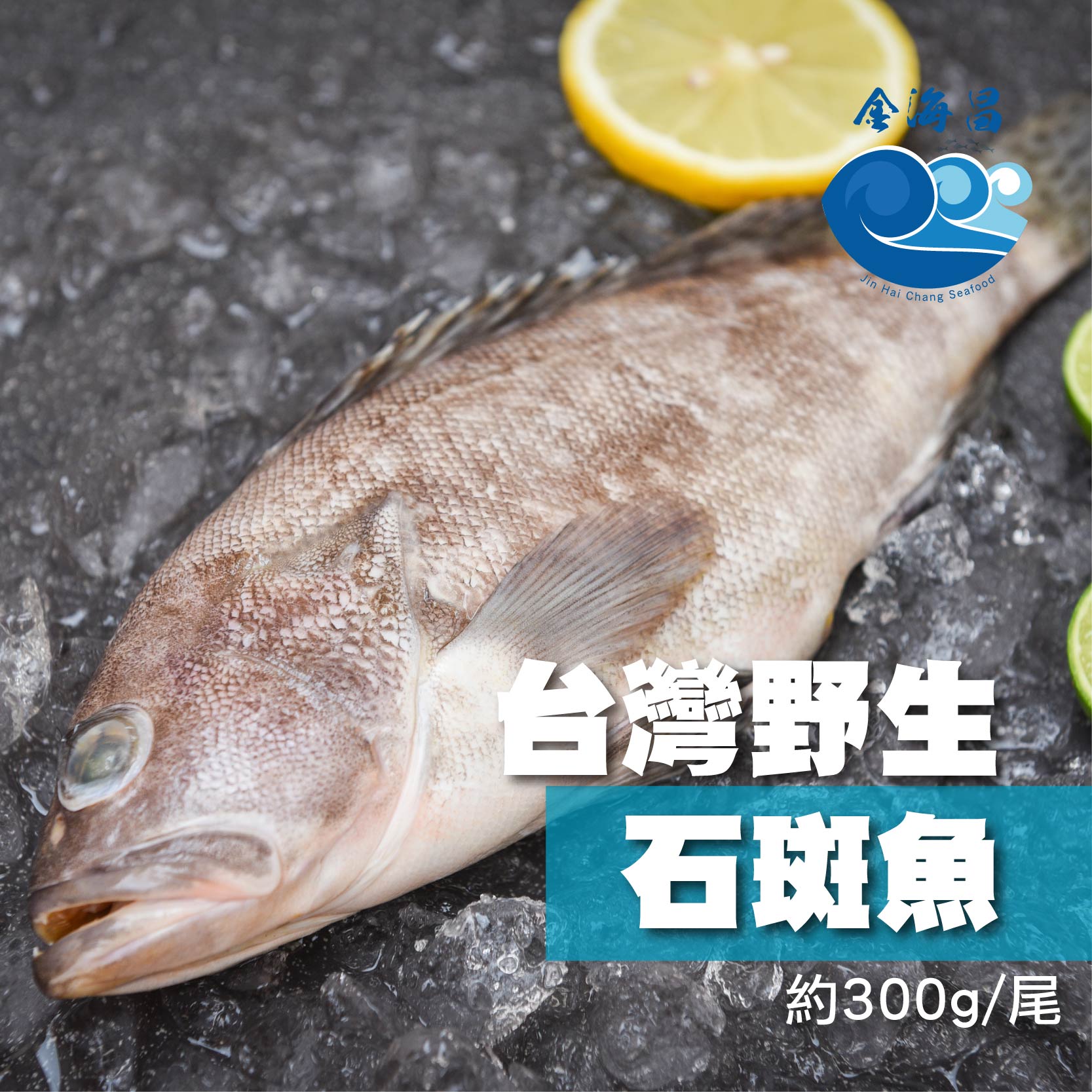 野生小石斑 300g