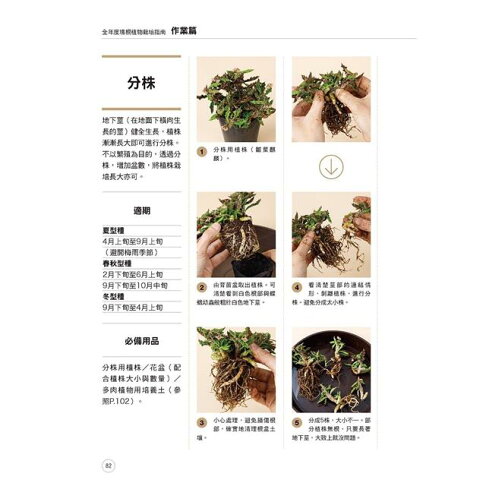 全年度塊根植物栽培基礎書 6