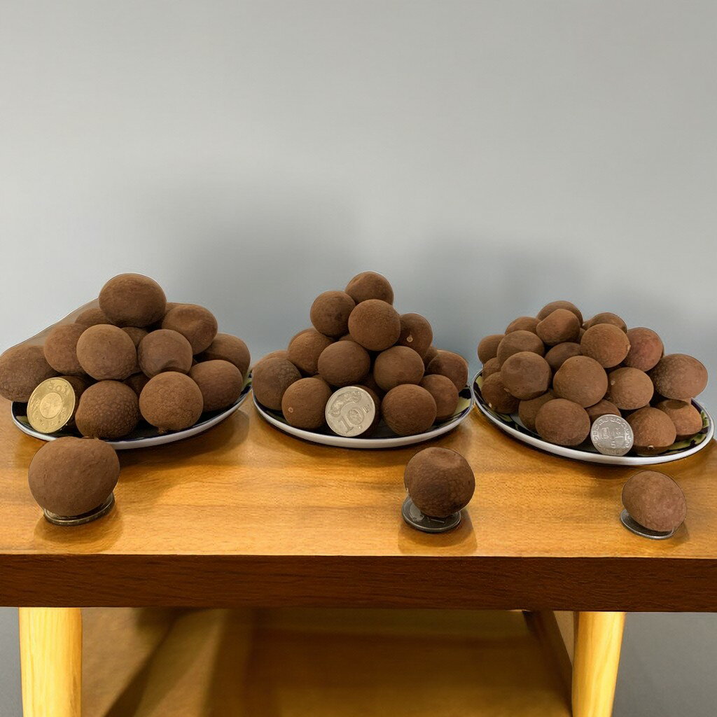 台南東山「賢爸與阿霖」土窯柴燒龍眼乾vs.龍眼肉 1