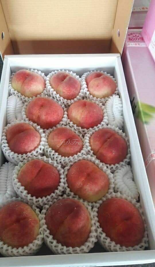 【緁迪水果JDFruit 高級水果店】現貨+預購-日本和歌山縣頂級水蜜桃禮盒(約4kg/箱) 0