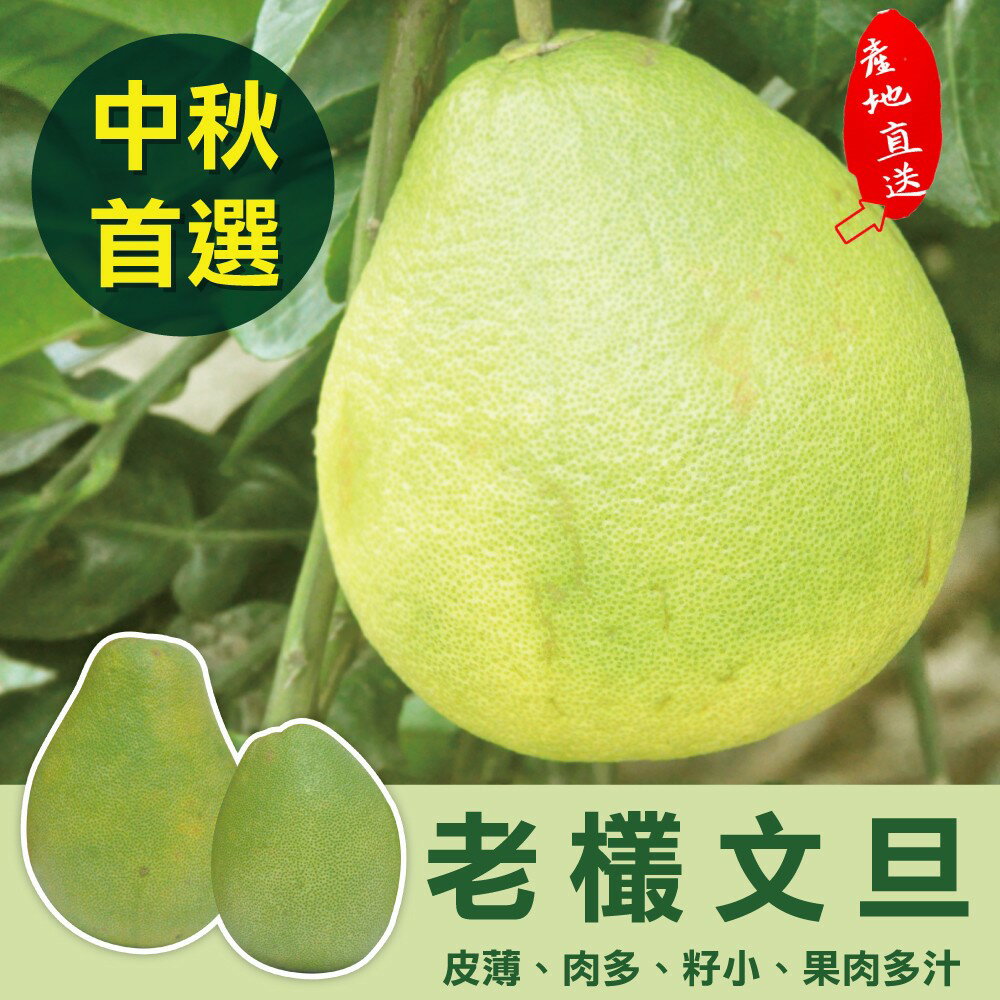 麻豆50年 老欉文旦柚子禮盒