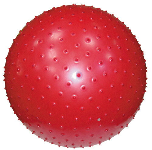 【1313健康館】韻律抗力球(韻律球) 工廠直營 台灣製造 65公分規格