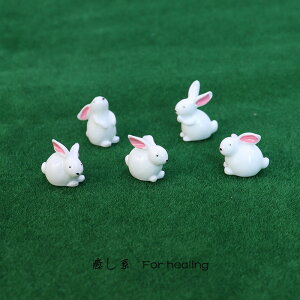 迷你可愛仿真小白兔一套五款小動物微縮模型微景觀小擺件小玩具