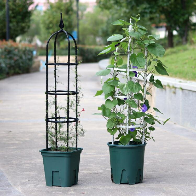 歐式園藝爬藤架包塑鐵管花支架植物攀爬藤架子陽臺鐵線蓮月季花架