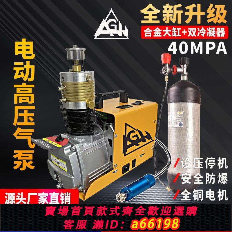 【臺灣公司 可開發票】【已賣5000+高壓打氣泵家用大功率充氣泵30/40Mpa便攜高壓打氣機