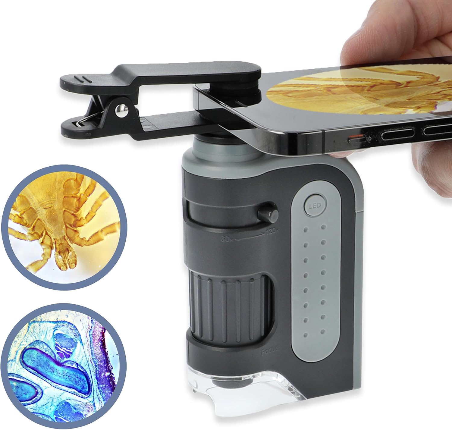 [5美國直購] Carson MicroBrite MM-350 掌上型顯微鏡 含手機夾 60x-120x LED燈 Microscope Kit STEM教育
