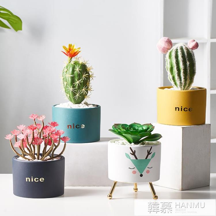 北歐ins風仿真植物盆景假多肉仙人掌綠植小擺件客廳桌面迷你裝飾 免運開發票