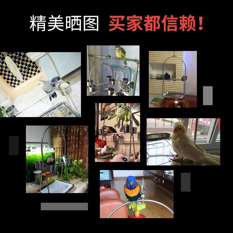 免運/可開票 快速出貨 不銹鋼鸚鵡站架中小型大型鳥架子玄鳳虎皮八哥鳥籠腳環腳鏈鳥鏈子 1
