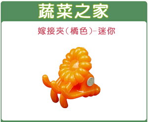 【蔬菜之家】橘色嫁接夾(蘭花夾.固定夾)-(迷你)(30入/組、1000入/包)