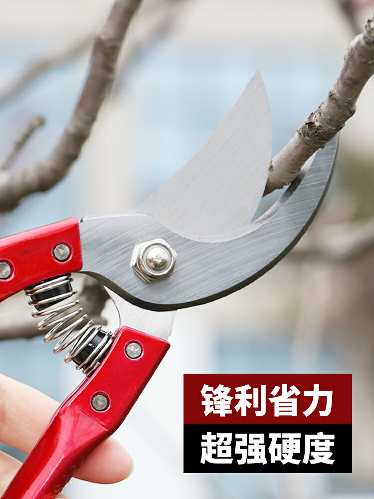 剪枝果樹修枝剪刀園藝修剪樹枝園林省力修花枝剪家用強力剪子神器
