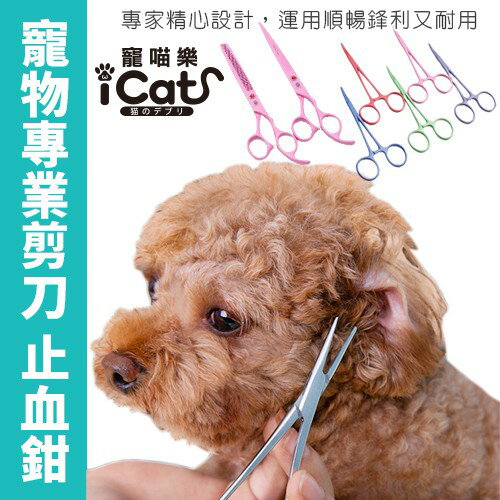 寵喵樂 日本不鏽鋼寵物專業用 Marley&Molly美容剪刀/止血鉗 拔毛鉗 直式彎式牙剪好輕鬆 隨機出色『WANG』