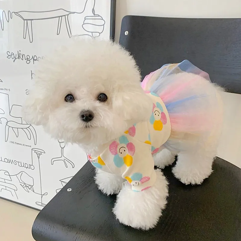寵物公主裙子 狗狗衣服 小型幼犬夏季薄款裙子 貓貓服飾 咪泰迪比熊博美春夏款寵物衣服【不二雜貨】