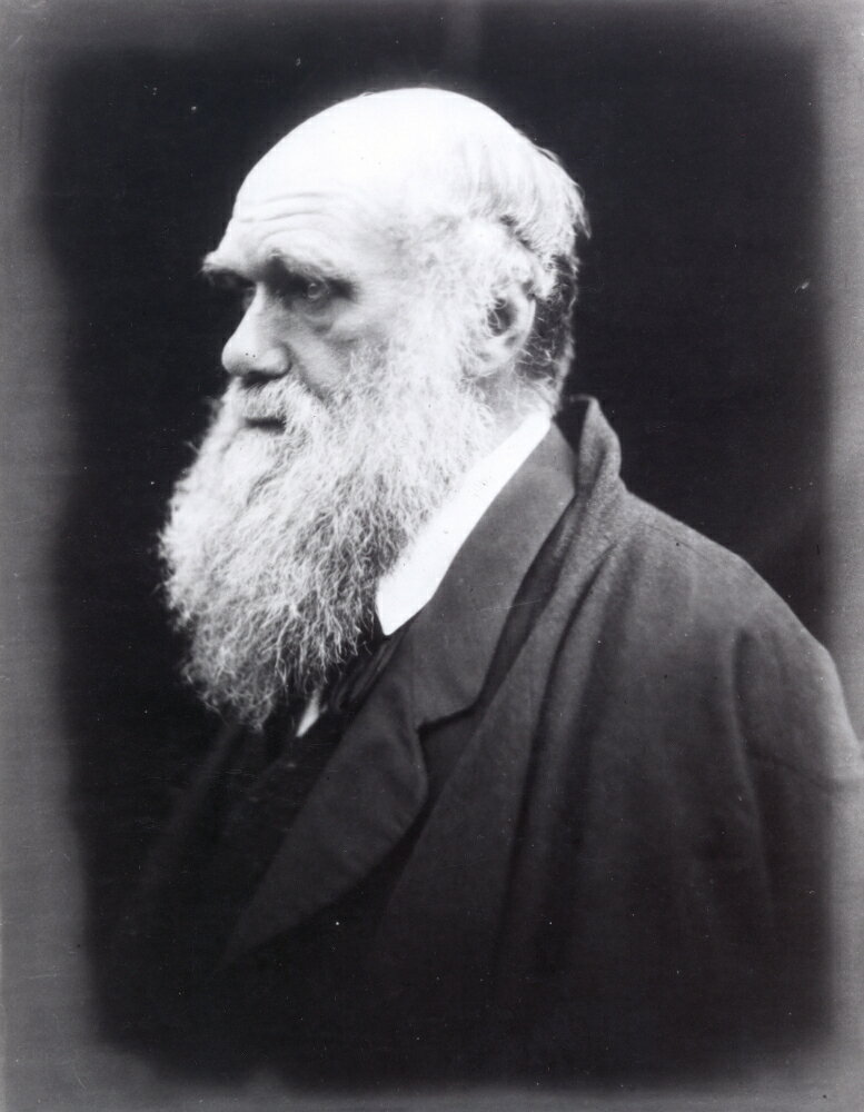 Posterazzi: Charles Darwin (1809-1882) Nenglish Naturalist Photographed ...