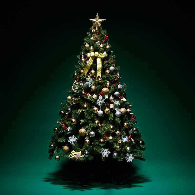 聖誕樹加密家用1.2/1.5/1.8米套餐DIY聖誕節裝飾品聖誕樹發光 0