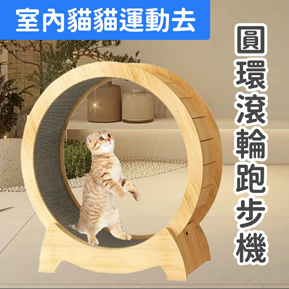 室內貓【實木 貓咪圓環滾輪跑步機】寵物運動健身 靜音 貓爬架 貓玩具 狗 犬 纖維板 有底座